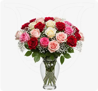Mixed Colored Roses/Gypso