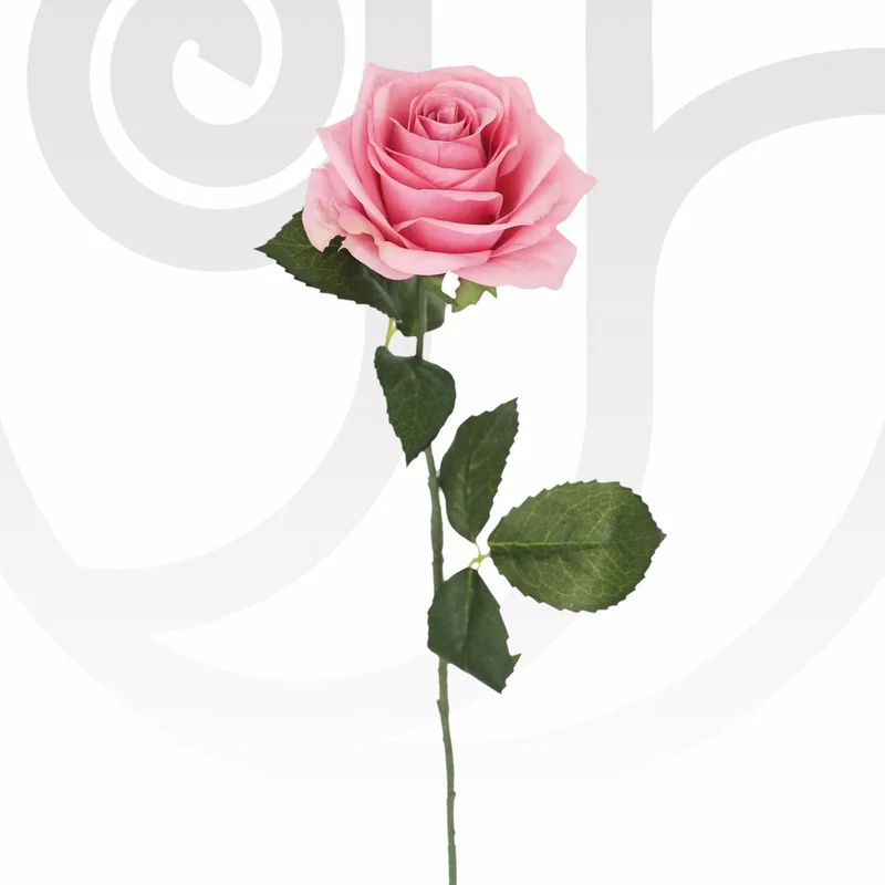 Pink Roses in Bulk - Fresh flower delivery | Buy online at BuyFlowers