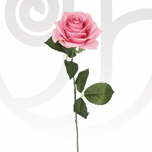 Pink Roses in Bulk thumbnail view 1 - BuyFlowers Nigeria