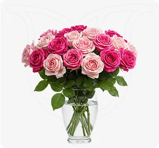 Pink Roses