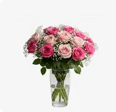 Pink Roses/Gypso