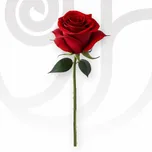 Red Roses in Bulk thumbnail view 1 - BuyFlowers