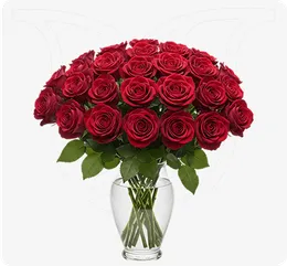 Red Roses 