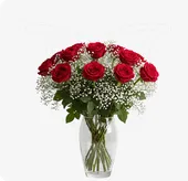 Red Roses/Gypso