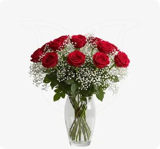 Red Roses/Gypso