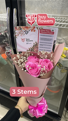 Pink Roses/Gypso thumbnail view 6 - BuyFlowers Nigeria