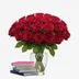 Red Roses & Book Voucher Combo