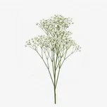 Extra Gypso thumbnail view 1 - BuyFlowers