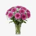 Pink Chrysanthemums /Gypso 