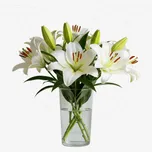 White Lilies thumbnail view 1 - BuyFlowers