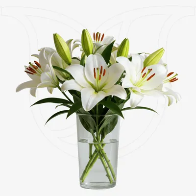 White Lilies