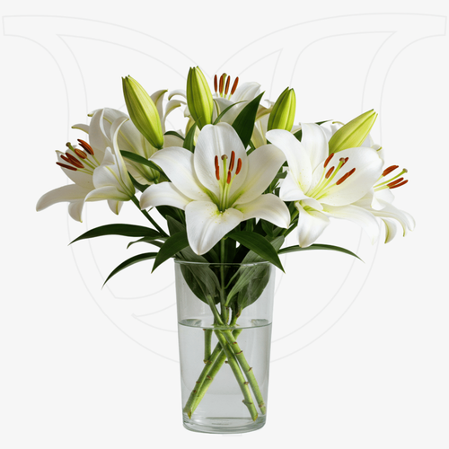 View White Lilies image 1 White Lilies thumbnail view 1 - BuyFlowers Nigeria
