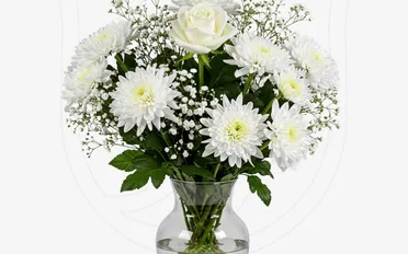 White Rose / Chrysanthemums / Gypso