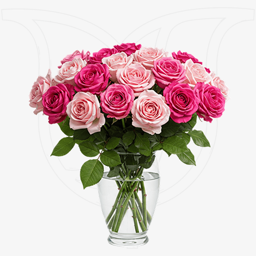 Pink Roses thumbnail view 1 - BuyFlowers Nigeria