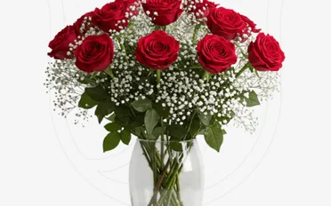 Red Roses/Gypso
