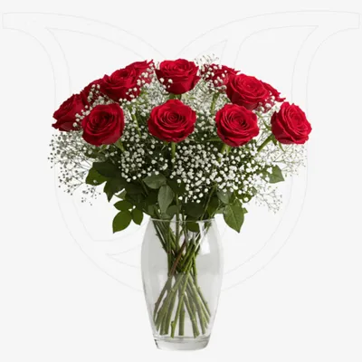 Red Roses/Gypso