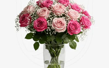 Pink Roses/Gypso