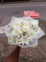 White Rose / Chrysanthemums / Gypso thumbnail view 7 - BuyFlowers