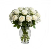 White Roses/Gypso