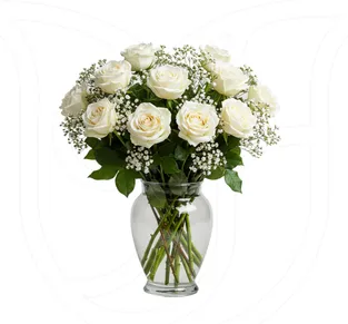 White Roses/Gypso