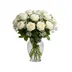 White Roses/Gypso