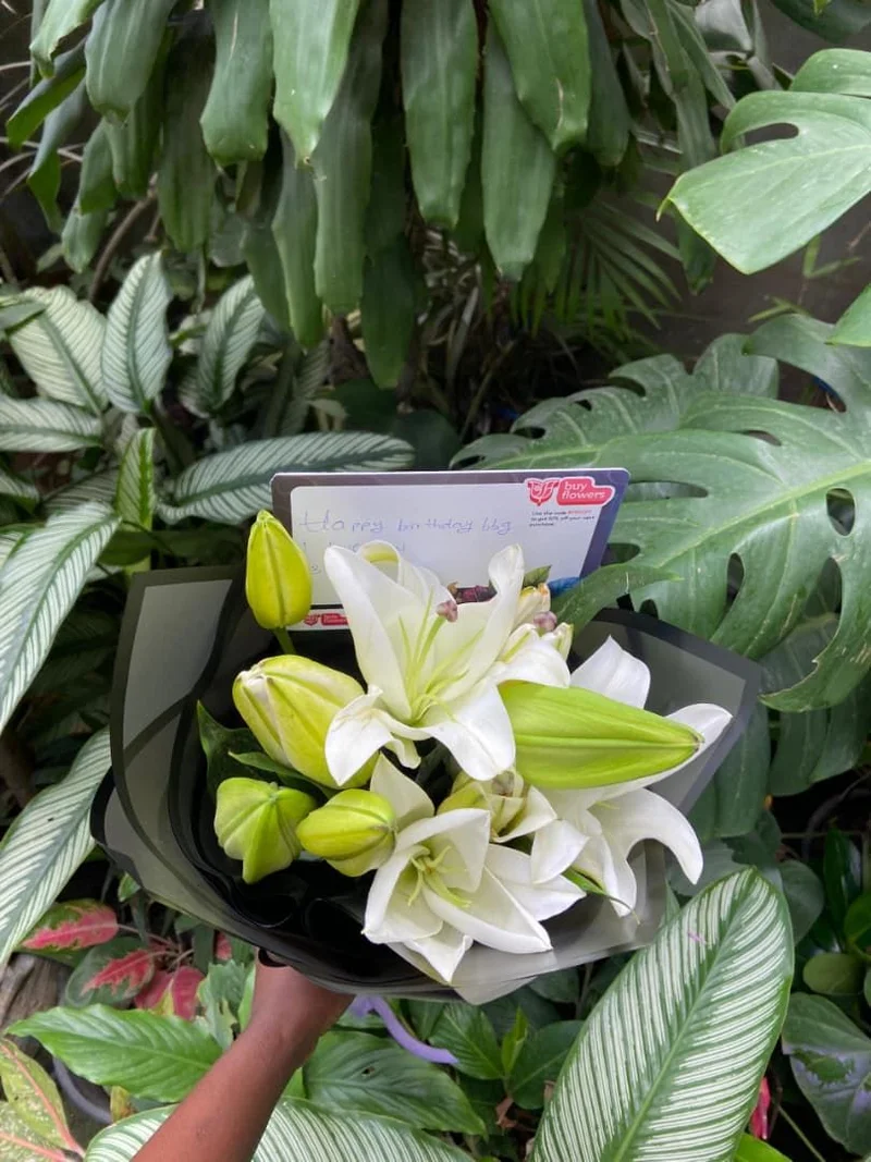 White Lilies - Fresh flower delivery | Buy online at BuyFlowers