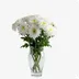 White Chrysanthemums 