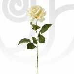 White Roses in Bulk thumbnail view 1 - BuyFlowers