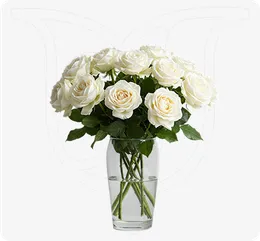 White Roses 