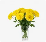 Yellow Chrysanthemums  thumbnail view 1 - BuyFlowers