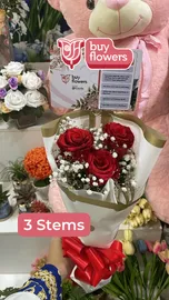 Red Roses/Gypso thumbnail view 7 - BuyFlowers